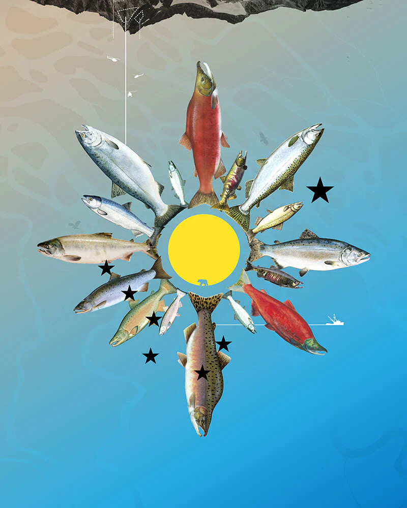 Link to Rock-Paper-Fish