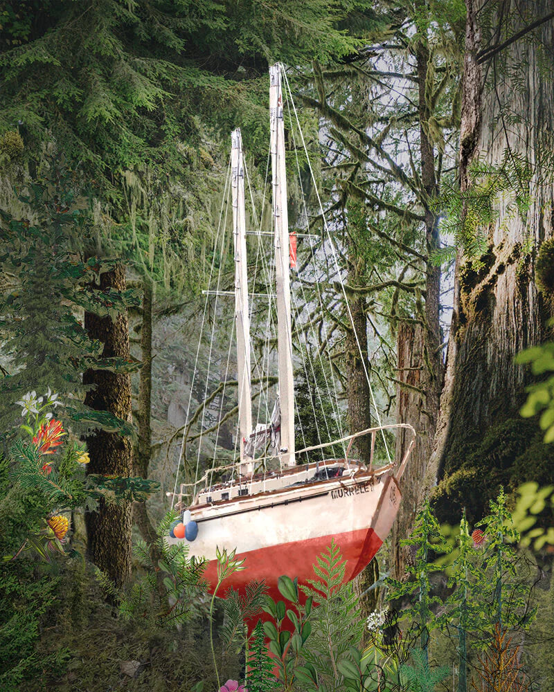 Link to Understory